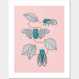 Cicadas in Pink + Teal Posters and Art